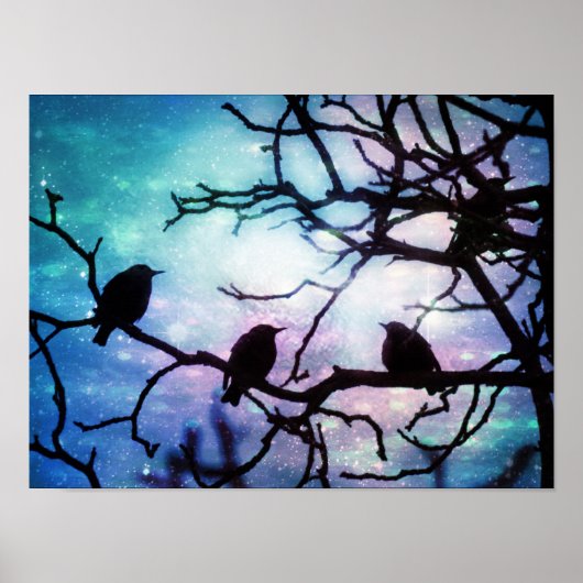 Vogels op een vertakking - Poster van de Starlight (Voorkant)