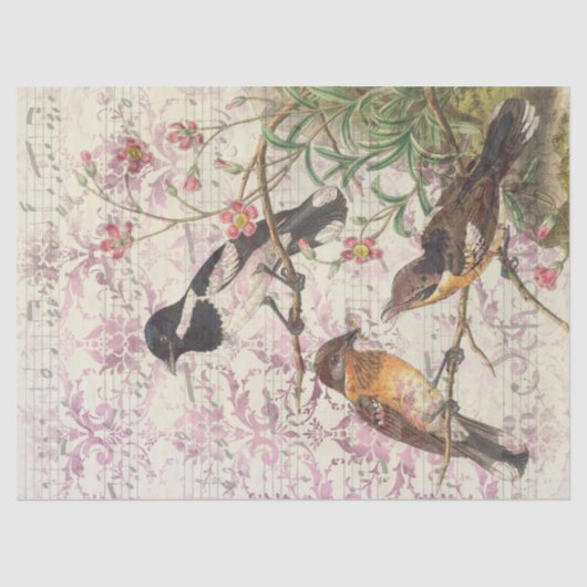  vogels op filialen en ontkoppeling van muziek tissuepapier (Voorkant)