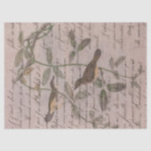  vogels op filialen met ontkoppelingspagina schrij tissuepapier (Voorkant)