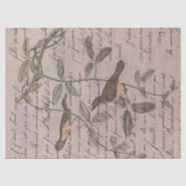  vogels op filialen met ontkoppelingspagina schrij tissuepapier