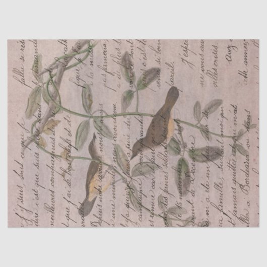  vogels op filialen met ontkoppelingspagina schrij tissuepapier (Voorkant)