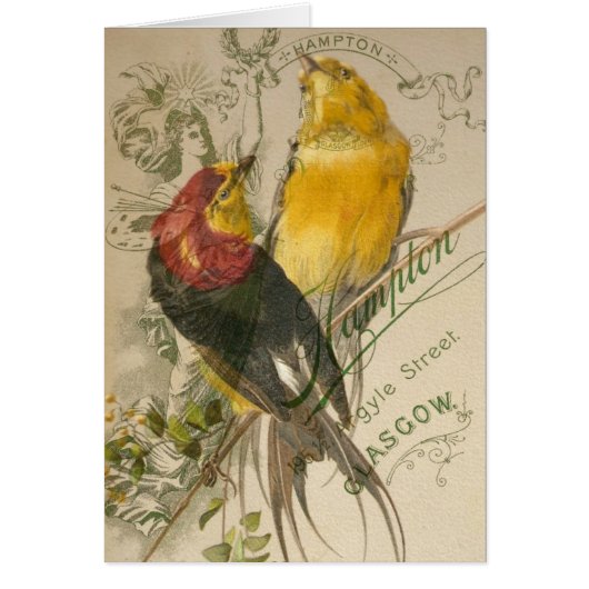 Vogels op  foto terug (Voorkant)