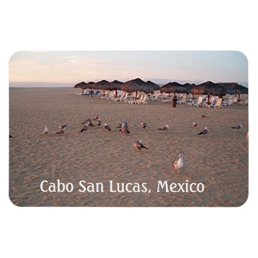Vogels op het strand in Cabo Magneet (Horizontaal)