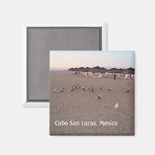 Vogels op het strand in Cabo Magnet (Voorkant / Achterkant)