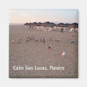 Vogels op het strand in Cabo Magnet (Voorkant)