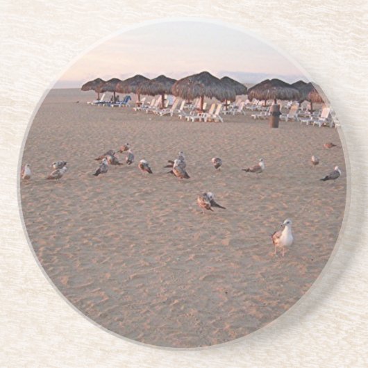 Vogels op het strand in Cabo Zandsteen Onderzetter (Voorkant)