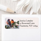Vogels op holly tareadres-labels etiket (Insitu)