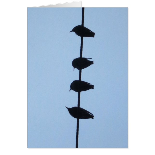 Vogels op lijn 1 (Voorkant)