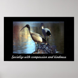 Vogels op log poster