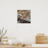 Vogels op Rotsen Foto Poster (Keuken)
