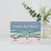 Vogels op strand Siesta Key Beach Briefkaart (Staand voorkant)