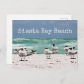 Vogels op strand Siesta Key Beach Briefkaart (Voorkant / Achterkant)