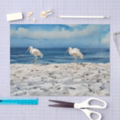 Vogels op strand tissuepapier (Craft)