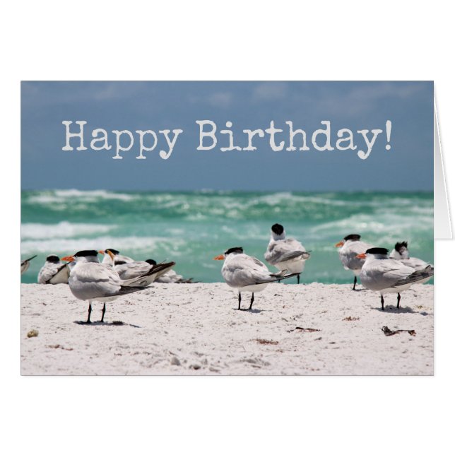 Vogels op strand van Birthday (Voorkant Horizontaal)