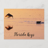 Vogels op Sunset op Ocean Key West Florida Briefkaart (Voorkant)