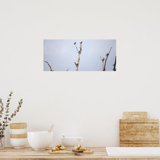Vogels op takken Poster (Keuken)