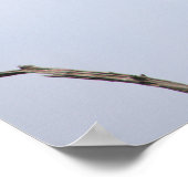 Vogels op takken Poster (Hoek)