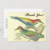 Vogels op takken,  stijl, "Dank u!" Briefkaart (Voorkant / Achterkant)
