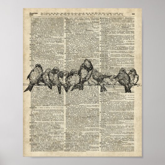 Vogels op vertakkingsplaat  boven de oude boekpagi poster (Voorkant)