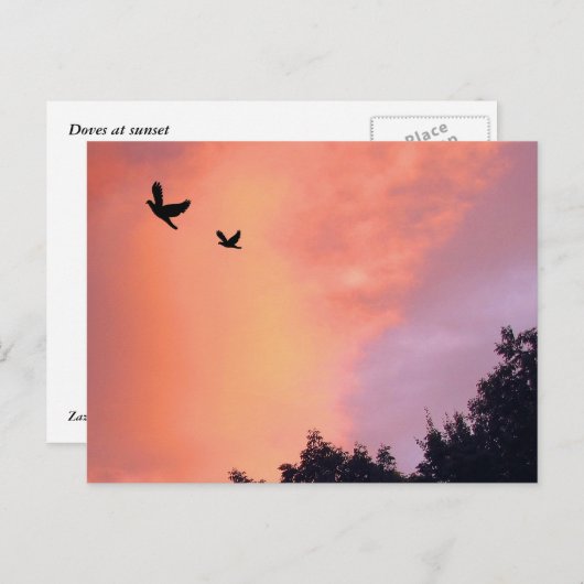 Vogels op zonsondergang briefkaart (Voorkant / Achterkant)