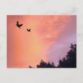 Vogels op zonsondergang briefkaart (Voorkant)