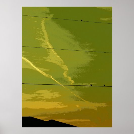 Vogels op zonsondergang poster (Voorkant)