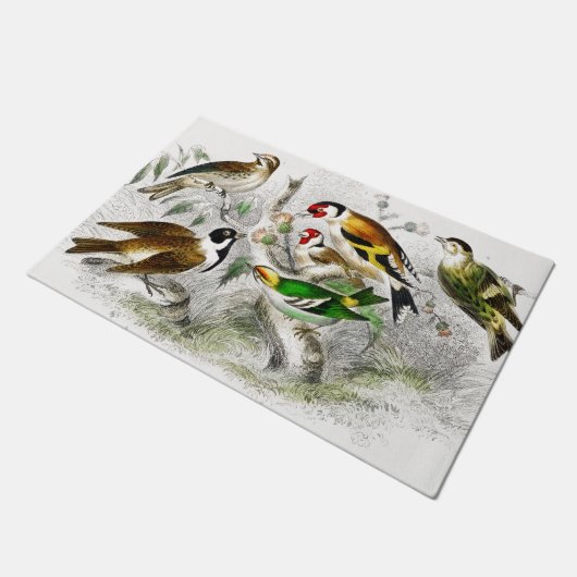  Vogels Oude Illustratie - Animals Art Deurmat (Schuin)