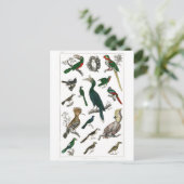 vogels Oude illustratie Kunstdieren Briefkaart (Staand voorkant)
