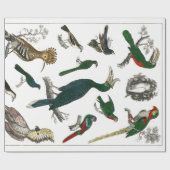 vogels Oude illustratie Kunstdieren Cadeaupapier (Vlak)