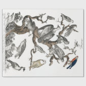  vogels Oude illustratie Kunstdieren Cadeaupapier (Vlak)