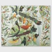  vogels Oude illustratie Kunstdieren Cadeaupapier (Vlak)