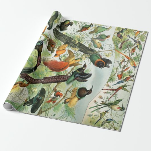  vogels Oude illustratie Kunstdieren Cadeaupapier (Uitgerold)