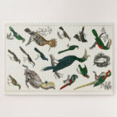  vogels Oude illustratie Kunstdieren Legpuzzel (Horizontaal)