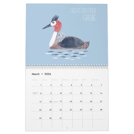 Vogels over de hele wereld Kunst Kalender (Mar 2026)