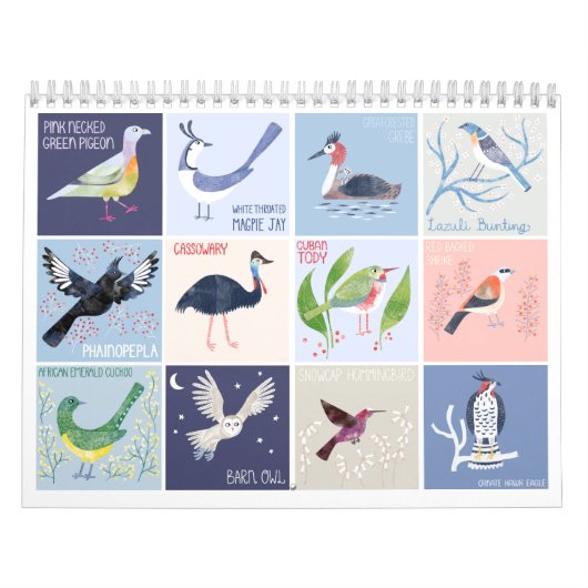 Vogels over de hele wereld Kunst Kalender (Hoes)