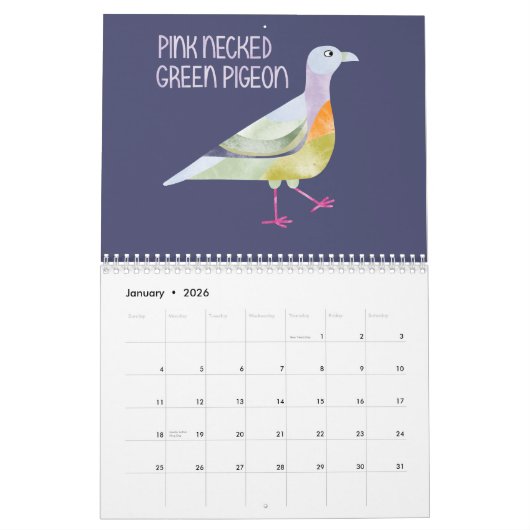 Vogels over de hele wereld Kunst Kalender (Jan 2026)