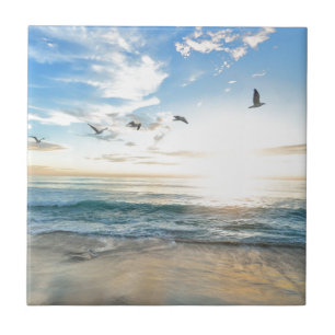 vogels over het strand tegeltje