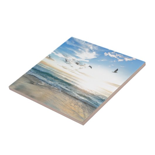 vogels over het strand tegeltje (Zijkant)