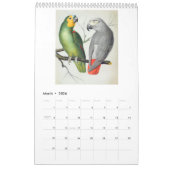  Vogels - Papegaaien en Parkieten 2026 Kalender (Mar 2026)