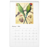  Vogels - Papegaaien en Parkieten 2026 Kalender (Feb 2026)