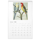  Vogels - Papegaaien en Parkieten 2026 Kalender (Jan 2026)