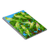 vogels, papegaaien notitieboek (Rechterzijde)