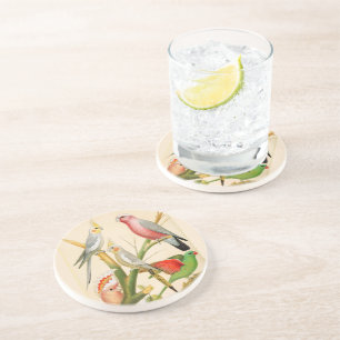  vogels- parkieten, tropische vogels zandsteen onderzetter