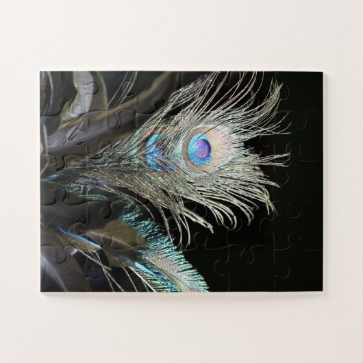 Vogels Peacock Feathers Legpuzzel (Horizontaal)