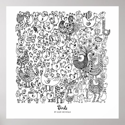 vogels poster (Voorkant)