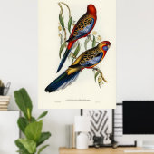 vogels poster (Thuiskantoor)