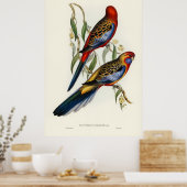 vogels poster (Keuken)