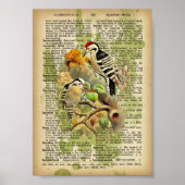 vogels poster (Voorkant)