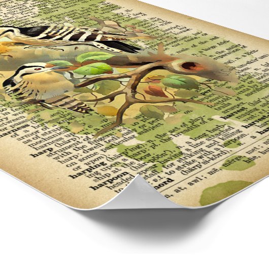 vogels poster (Hoek)