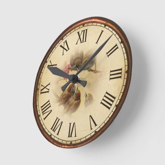 vogels ronde klok (Hoek)